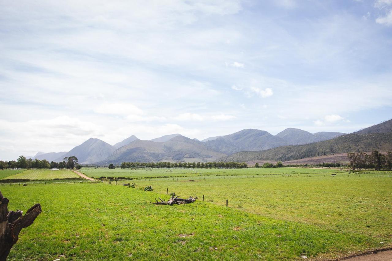 Tsitsikamma Cottages Witelsbos Buitenkant foto